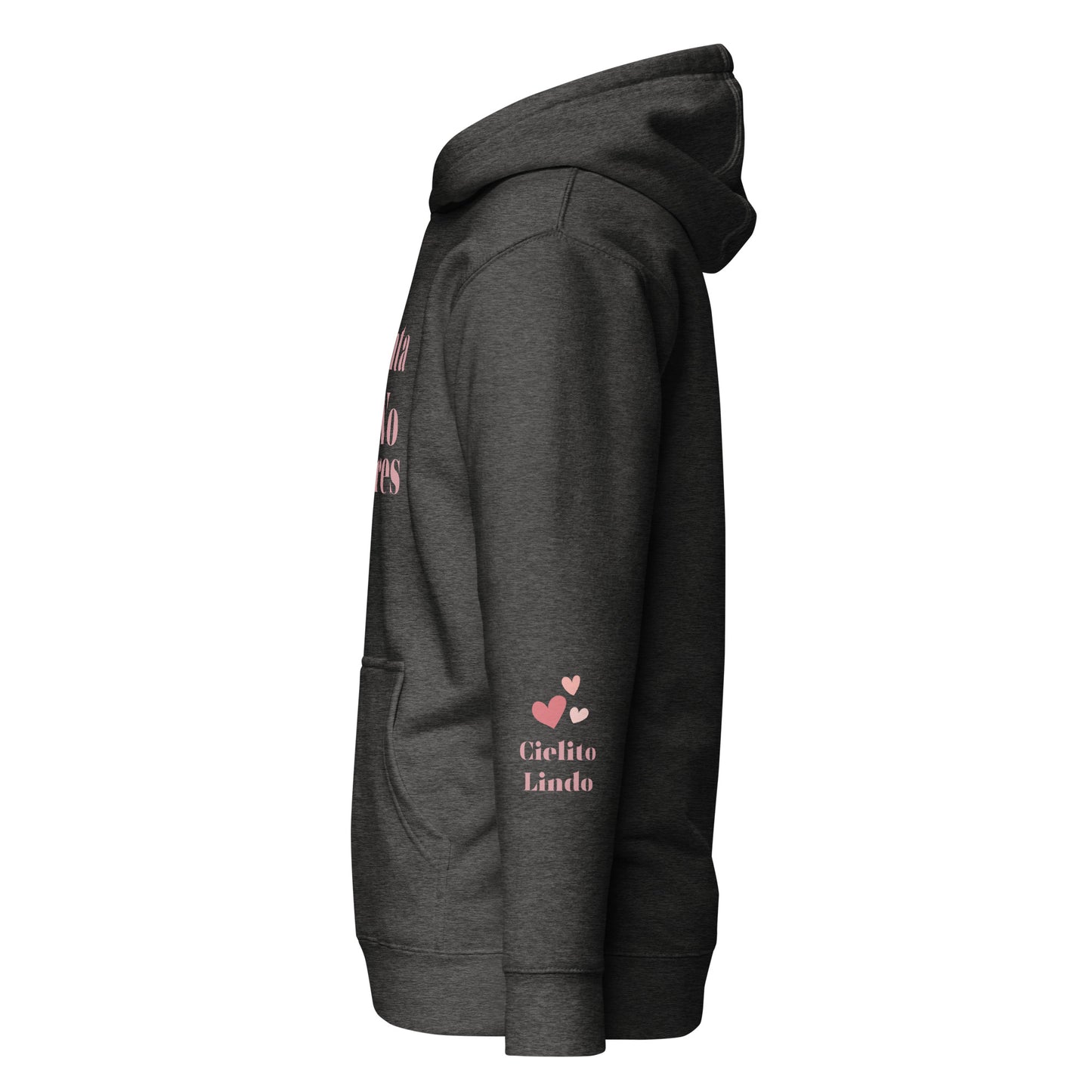 Canta No Llores Hoodie
