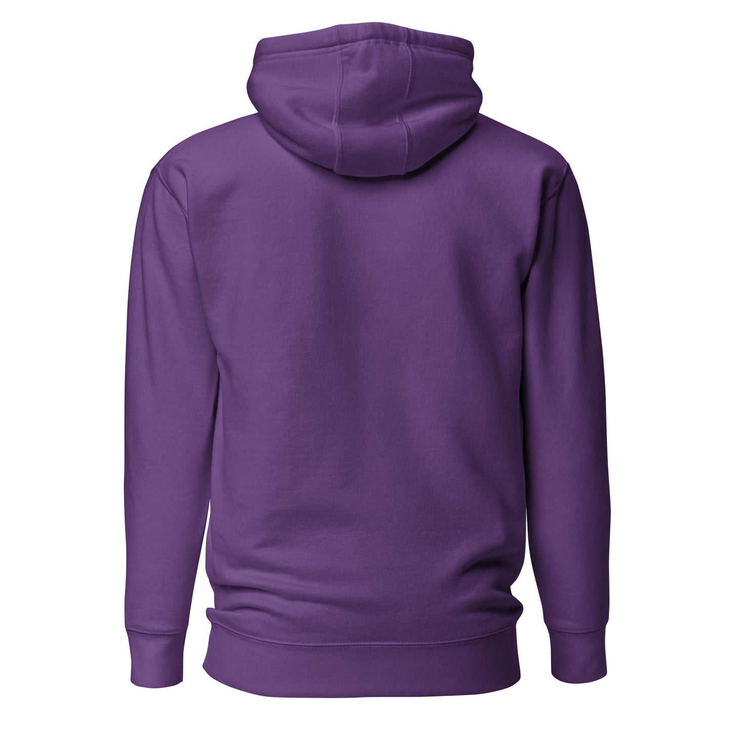 Latinas Positivas Hoodie