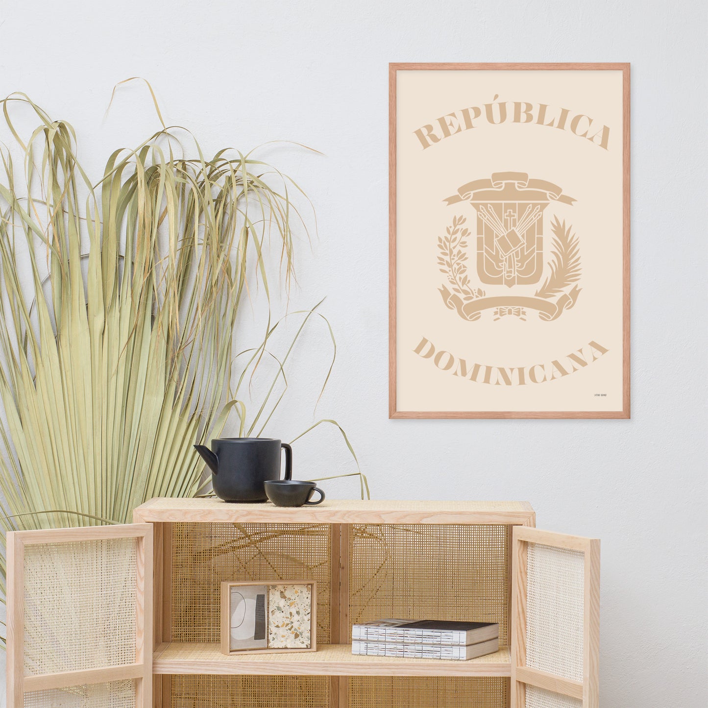 🇩🇴 Republica Dominicana Framed Print