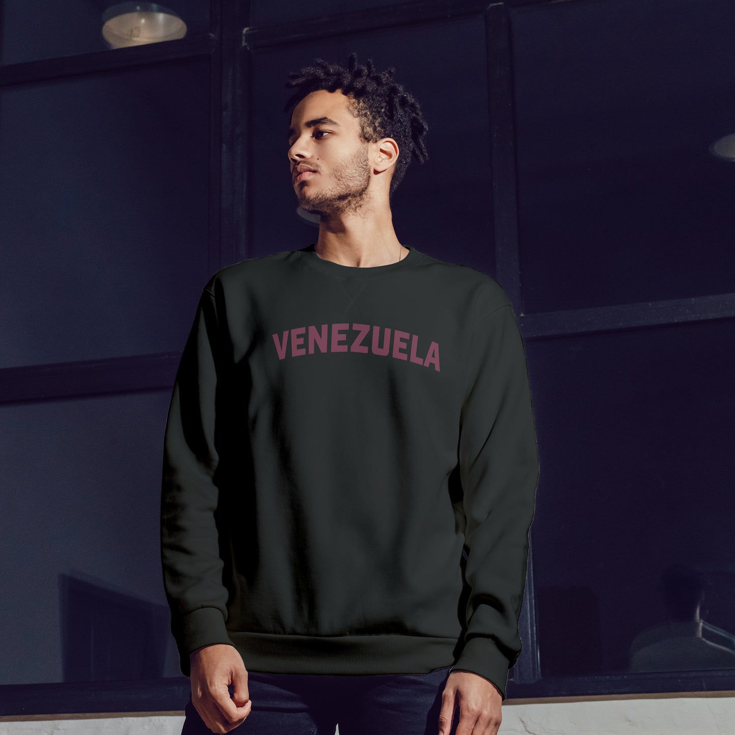 🇻🇪 Venezuela Sweatshirt